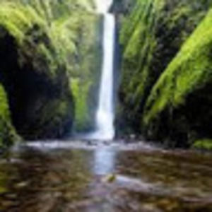 Meet your Posher, Guperan